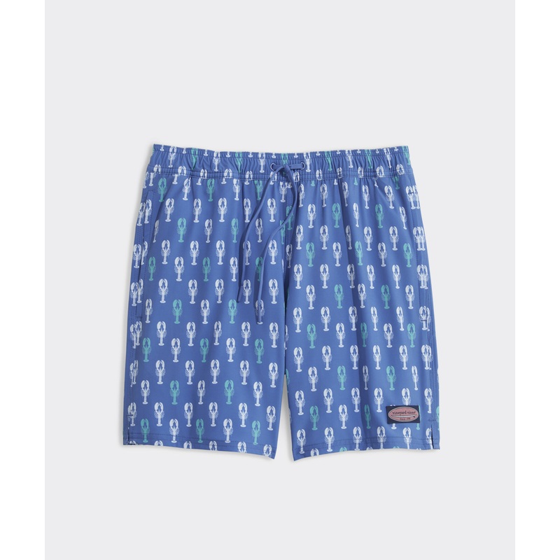 5 Inch Printed Chappy Swim Trunks