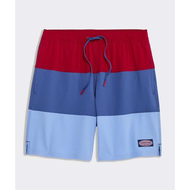7 Inch Colorblock Chappy Swim Trunks