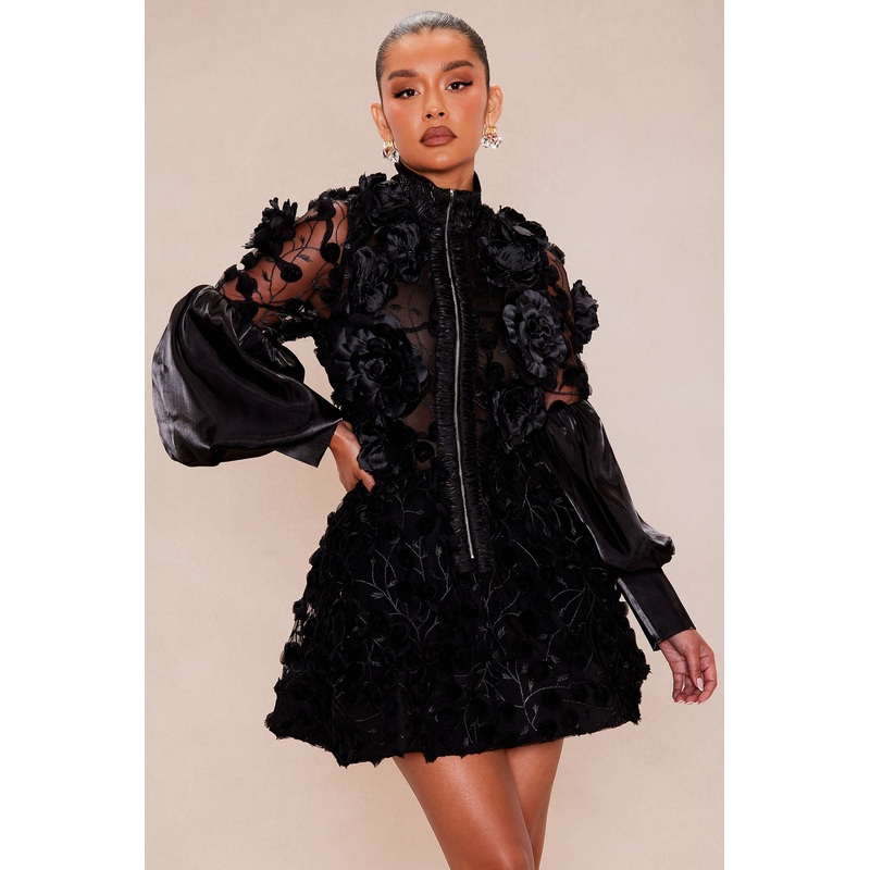 Raven Sheer Embroidered Mini Dress – Black