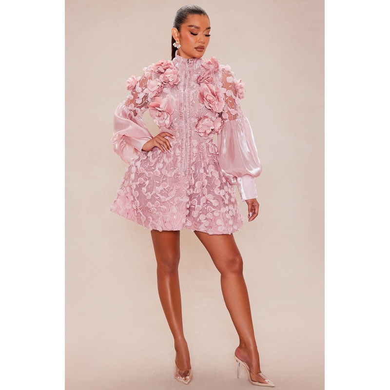 Raven Sheer Embroidered Mini Dress – Rose