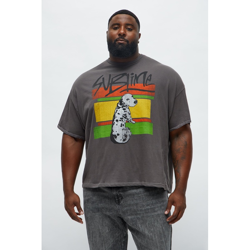 Sublime What I Got Boxy Short Sleeve Tee – Charcoal