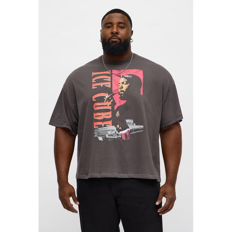 Ice Cube Today Was A Good Day Boxy Short Sleeve Tee – Charcoal